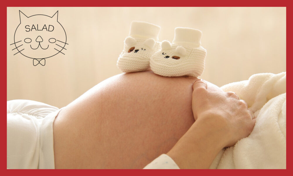 妊婦のお腹の上にのっている赤ちゃんの靴