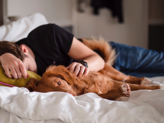 犬と一緒に眠る男性
