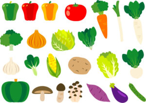 各種野菜のイラスト