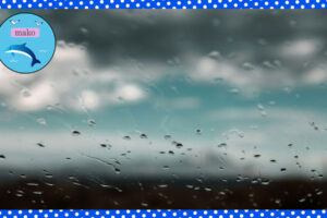 雨粒のついた窓越しに曇り空