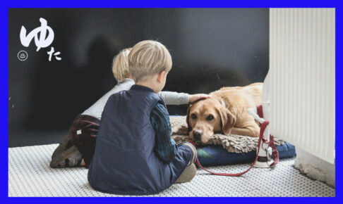 大型犬と二人の少年