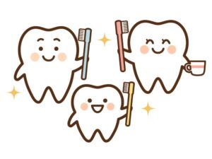 歯のイラスト