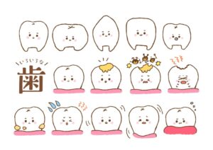 歯のイラスト