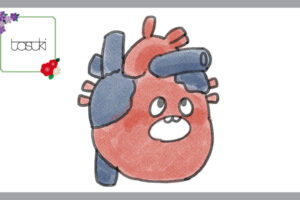 心臓パッチ　シンフォリウム
