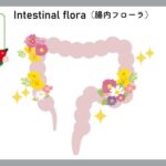 腸内細菌バンク