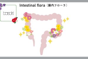 腸内細菌バンク