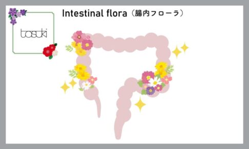 腸内細菌バンク