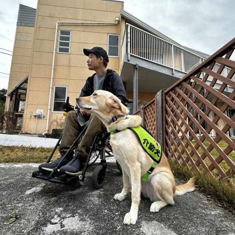 介助犬