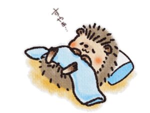 スヤスヤ眠るハリネズミ