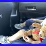 チャイルドシートのうえで眠る子どもの横に熊の人形