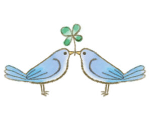 クローバーを向かい合わせでついばんでいる青色の鳩2羽