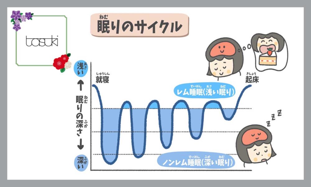 レム睡眠