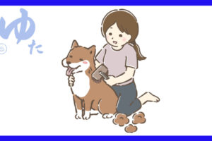 犬をブラッシングする人と気持ちよさそうな犬