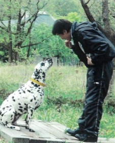 男性とダルメシアン