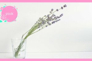 透明のグラスに活けてある、ラベンダーの花