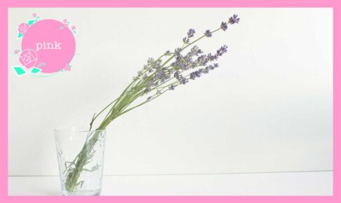 透明のグラスに活けてある、ラベンダーの花