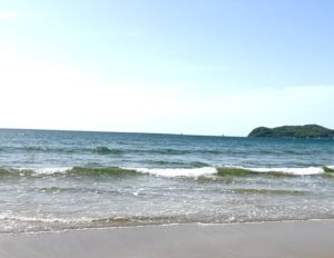 綺麗な青い海が波打っている様子
