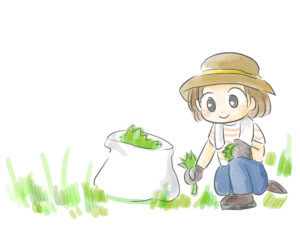 草むしりをする帽子をかぶった女性