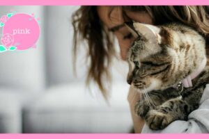 猫を腕に抱いて、俯いている女性の横顔