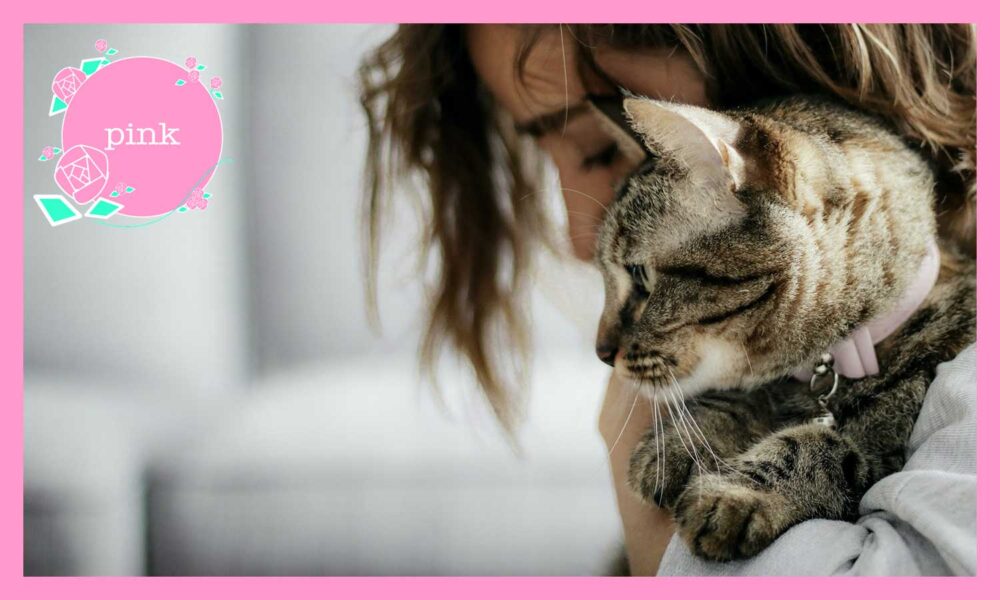 猫を腕に抱いて、俯いている女性の横顔