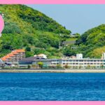後ろが山で、前が海の間にある高校の校舎