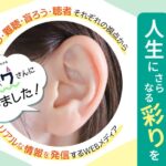 キコニワへのインタビュー