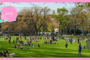 広い公園でくつろぐ大勢の人々