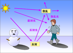男性と雪だるまの周りを飛ぶ、太陽光の反射や散乱の説明