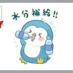 水分補給をするペンギン
