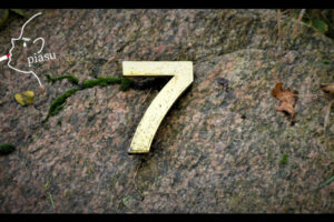 地面に落ちている「7」の文字