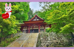 山の中にある神社，木々に囲まられていて鳥居の前に石段がある。木々に囲まれ晴天の模様。