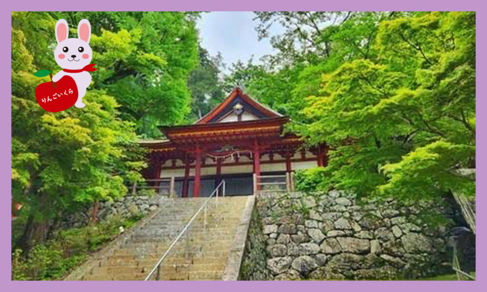 山の中にある神社,木々に囲まられていて鳥居の前に石段がある。木々に囲まれ晴天の模様。