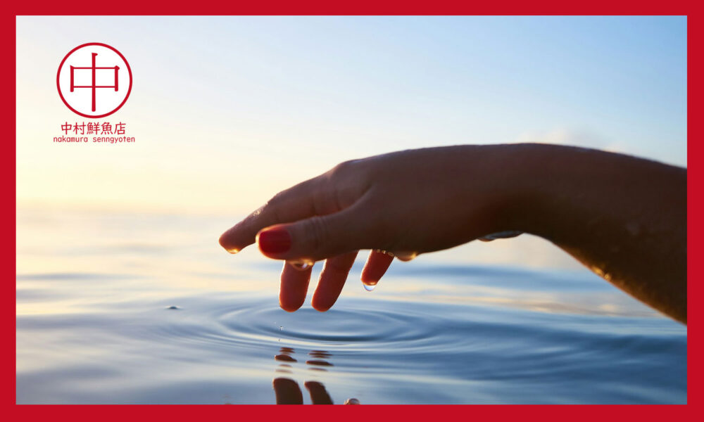 海に濡れた手を付けている様子