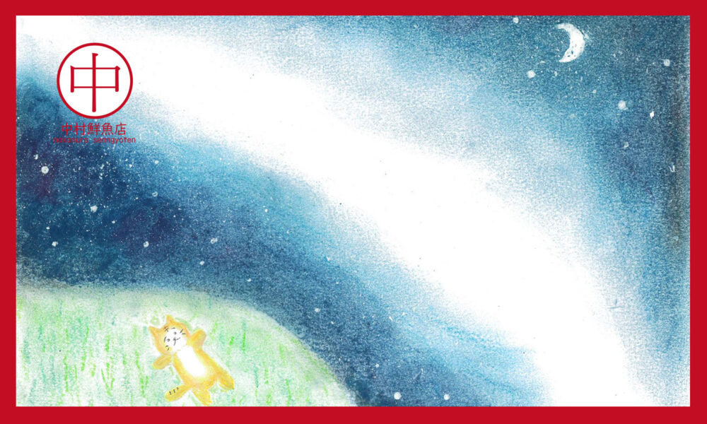 星空の下の草むらに寝転がる猫