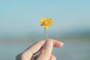 黄色の花を持つ手