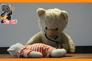 ぬいぐるみのクマ先生がぬいぐるみの子グマを診察している画像