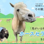 男性と白い馬の右側に、「馬がいる相談室」でホースセラピーを広げたい！「not alone」代表　塩田剛士さんと語るその魅力と効果というタイトルが書いている