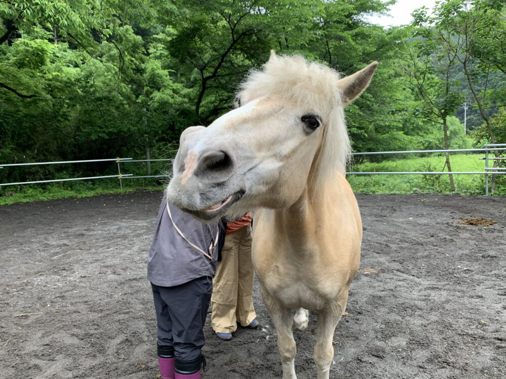 白い馬に寄り添う人