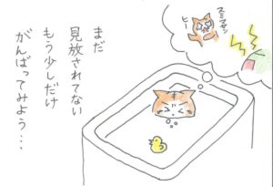 お風呂につかりながら、まだ、見放されていない。もう少しだけ、がんばってみよう‥と、怒られた場面を思い出しながら涙する猫