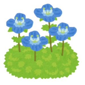オオイヌノフグリの花のイラスト