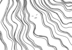 形の不安定な波の中で、目と口だけある抽象画