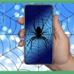 クモとクモの巣の画像を表示するスマホを持つ手