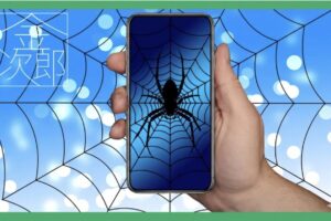 クモとクモの巣の画像を表示するスマホを持つ手