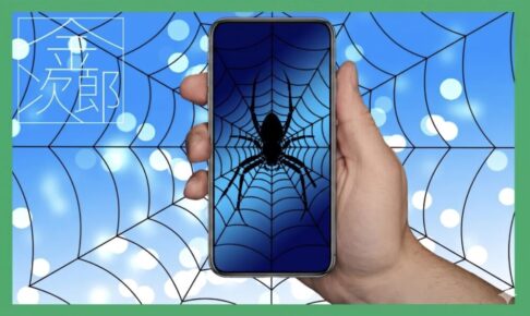 クモとクモの巣の画像を表示するスマホを持つ手