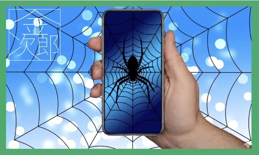 クモとクモの巣の画像を表示するスマホを持つ手