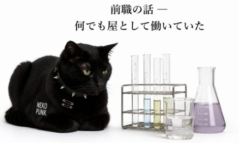 黒猫が座って試験管やビーカーを眺めている画像