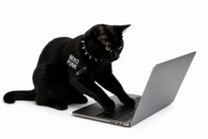 黒猫がパソコンに何かを打ち込んでいる画像