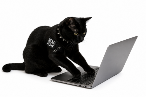 黒猫がパソコンに何かを打ち込んでいる画像