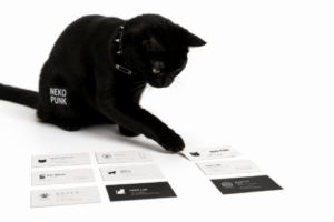 黒猫が並んでいる名刺で遊んでいる画像