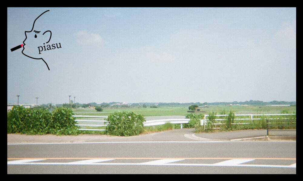 フィルムカメラで撮影された綺麗な空とガードレールと草